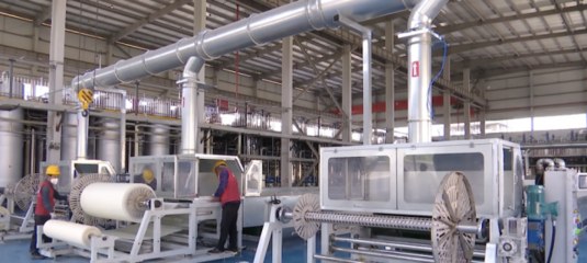 奮進(jìn)|泰興:驅(qū)動(dòng)經(jīng)濟(jì)向&ldquo;綠&rdquo;而行 打造綠色環(huán)保產(chǎn)業(yè)集群