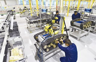 智能制造新模式 特種機器人制造智能化工廠 項目順利通過驗收