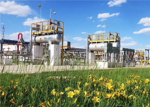 守護(hù)毛烏素的碧水藍(lán)天 長(zhǎng)慶油田采氣三廠環(huán)保效益開發(fā)始終在路上